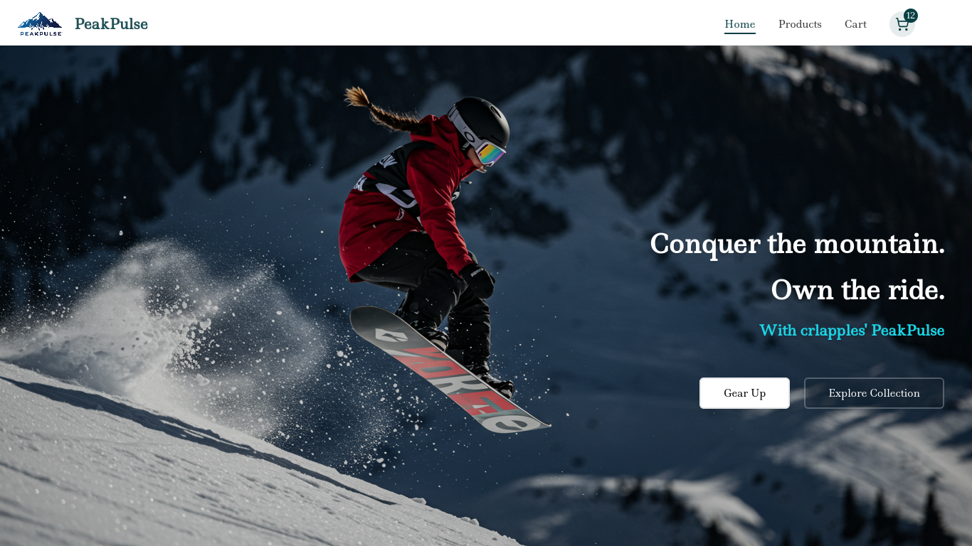 Snowboard Equipment Website Design