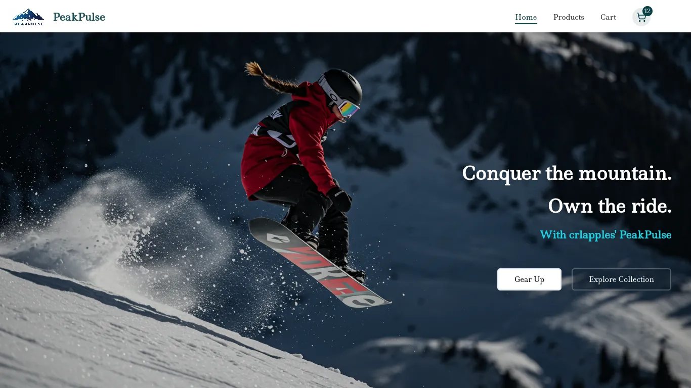 Snowboard Equipment Website Design